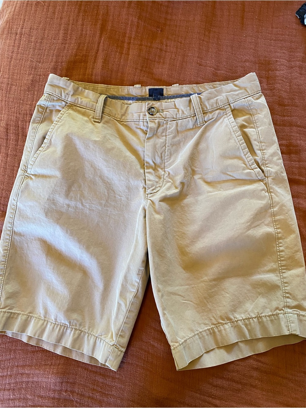 GAP Men’s Beige Flat-Front Cotton Shorts